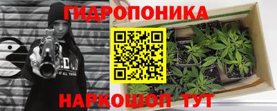 jwh Краснознаменск